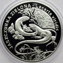 20 zł złotych 2009 Jaszczurka Zielona
