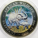 Somalia 100 szylingów 2007 Słoń