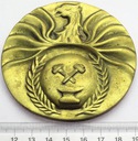 Medal Zasłużony Dla Starachowic