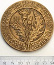 Medal Stanisław Brzozowski