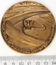 Medal Skansen Bojowy 1 Armii Wojska Polskiego