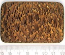 Medal Jagdburo Polen