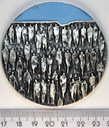 Medal 50 Lat Organizacji Narodów Zjednoczonych (1)