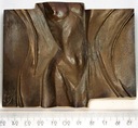Medal Centrum Onkologii Instytut