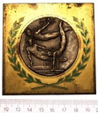 Medal France Bologne Sportowy