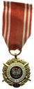 Medal Siły Zbrojne W Służbie Ojczyzny XX