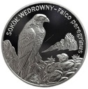 20 zł złotych 2008 Sokół Wędrowny