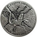 Jaszczurka Zielona Młode Zwierzęta SREBRO Ag925