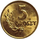 5 gr 1949 pięć groszy 1949, BRĄZ