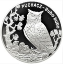20 zł złotych 2005 Puchacz