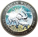 Somalia 100 szylingów 2007 Słoń