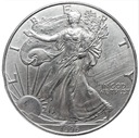 USA 1 dolar 1996 oz uncja One Dollar SREBRO