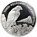20 zł złotych 2008 Sokół Wędrowny