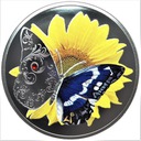 1 Dollar 2019 Motyl (3)
