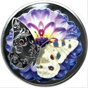 1 Dollar 2019 Motyl (5)