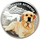 1 Dollar 2014 Labrador Retriver