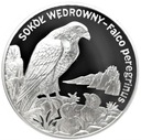 20 zł złotych 2008 Sokół Wędrowny