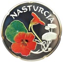 Świat Kwiatów Nasturcja Ag 925