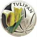 Świat Kwiatów Tulipan Ag 925