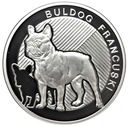 Najlepszy Przyjaciel Człowieka Buldog Francuski Ag