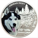1 Dollar 2016 Siberian Husky SREBRO