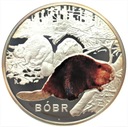 Symbole Przyrody Zwierzęta Bóbr