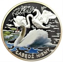 Symbole Przyrody Zwierzęta Łabędź Niemy