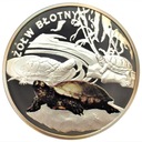 Symbole Przyrody Zwierzęta Żółw Błotny