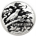 Podniebne Głosy Słowik Szary Ag999