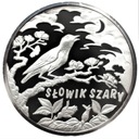 Podniebne Głosy Słowik Szary Ag999