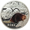 Symbole Przyrody Zwierzęta Bóbr