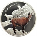 Symbole Przyrody Zwierzęta Kozica