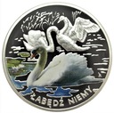 Symbole Przyrody Zwierzęta Łabędź Niemy