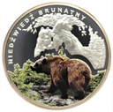 Symbole Przyrody Zwierzęta Niedźwiedź Brunatny