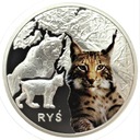 Symbole Przyrody Zwierzęta Ryś