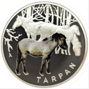 Symbole Przyrody Zwierzęta Tarpan