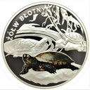Symbole Przyrody Zwierzęta Żółw Błotny