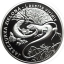 20 zł złotych 2009 Jaszczurka Zielona (1)