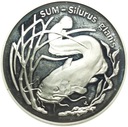 20 zł złotych 1995 Sum