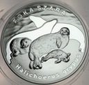 20 zł złotych 2007 Foka Szara