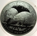 20 zł złotych 2011 Borsuk