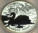 Symbole Przyrody Zwierzęta Łabędź Niemy SREBRO