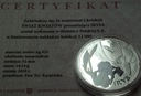 Świat Kwiatów Irys SREBRO