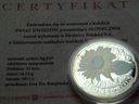 Świat Kwiatów Słonecznik SREBRO