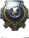 Odznaka Kościuszkowska 1 WDP Lenino 1943 Berlin 1945