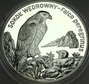 20 zł złotych 2008 Sokół Wędrowny SREBRO
