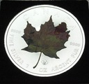 Kanada 5 dolarów 2014 Liść klonu klonowy TAMPONDRUK uncja 1 oz SREBRO (2)
