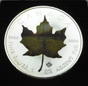Kanada 5 dolarów 2015 Liść klonu klonowy TAMPONDRUK uncja 1 oz SREBRO (3)