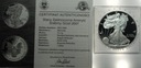 Fabulous USA 1 dolar 2007 Srebrny Orzeł American Silver Dollar SREBRO