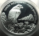 20 zł złotych 2008 Sokół Wędrowny SREBRO